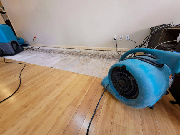Reliable Basement Flood Cleanup contractor in Cedar Park, TX by Hirex Water Damage