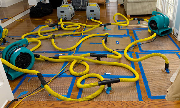 Professional Basement Flood Cleanup technician working in Cedar Park, TX